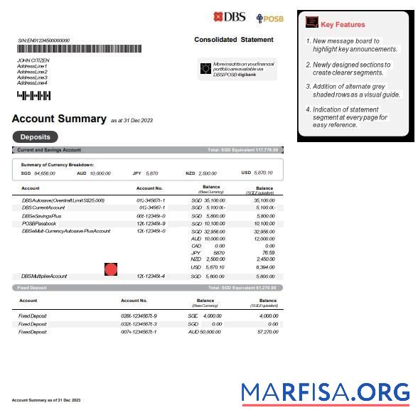 Blank Singapore DBS bank statement word version 2 template